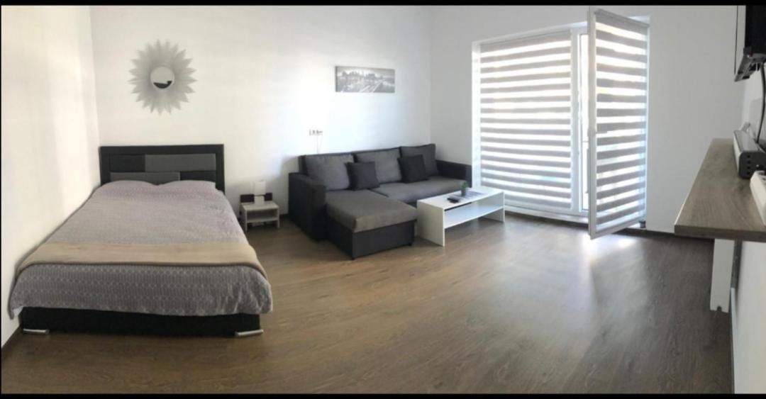 Vivamus Studio Braşov Dış mekan fotoğraf